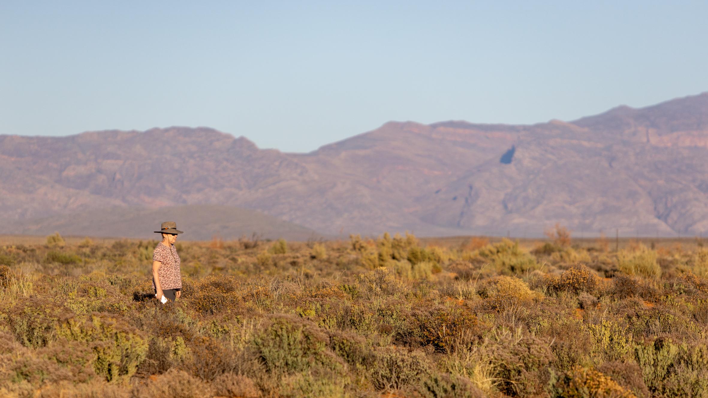 Tankwa Karoo, South Africa