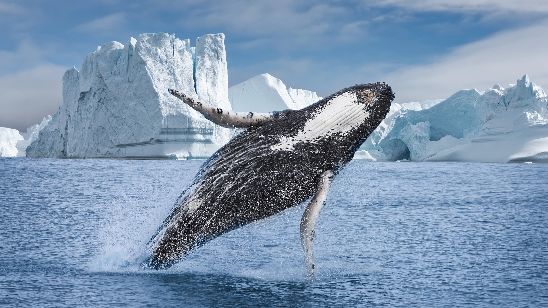 How to Choose Your Cruise: the Arctic’s Greenland, Svalbard and Canada