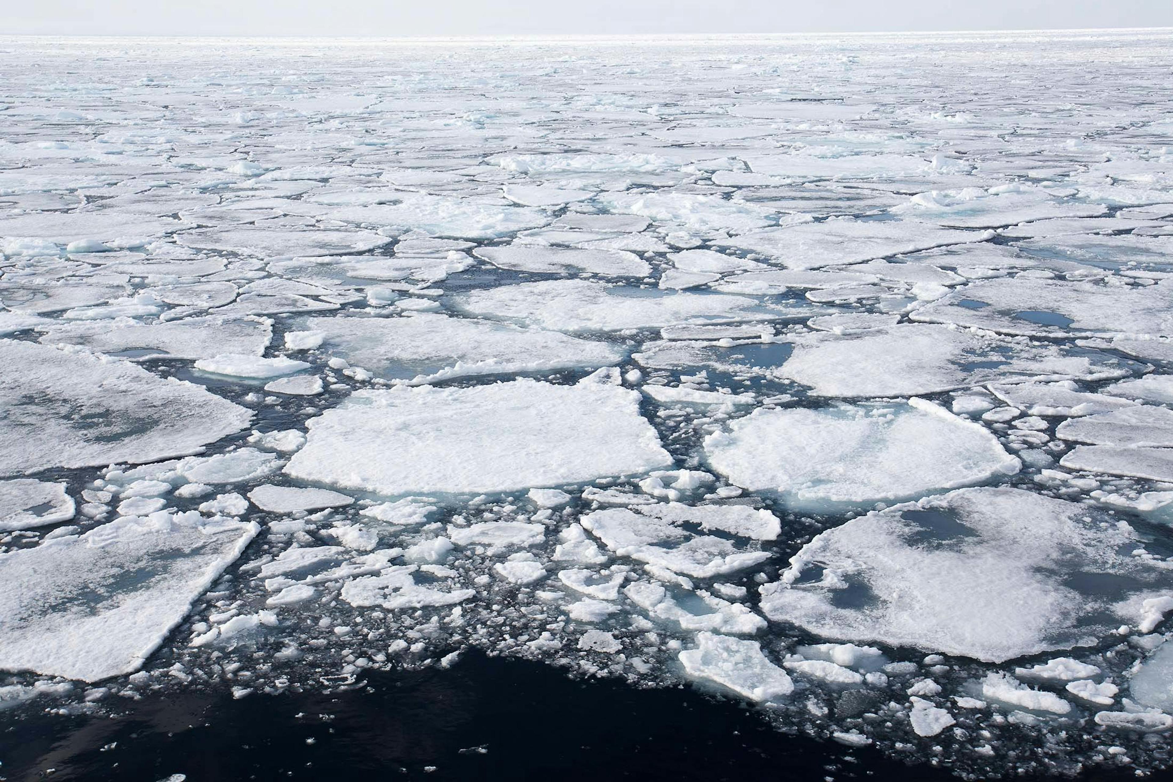 Arctic sea ice/Denis Elterman