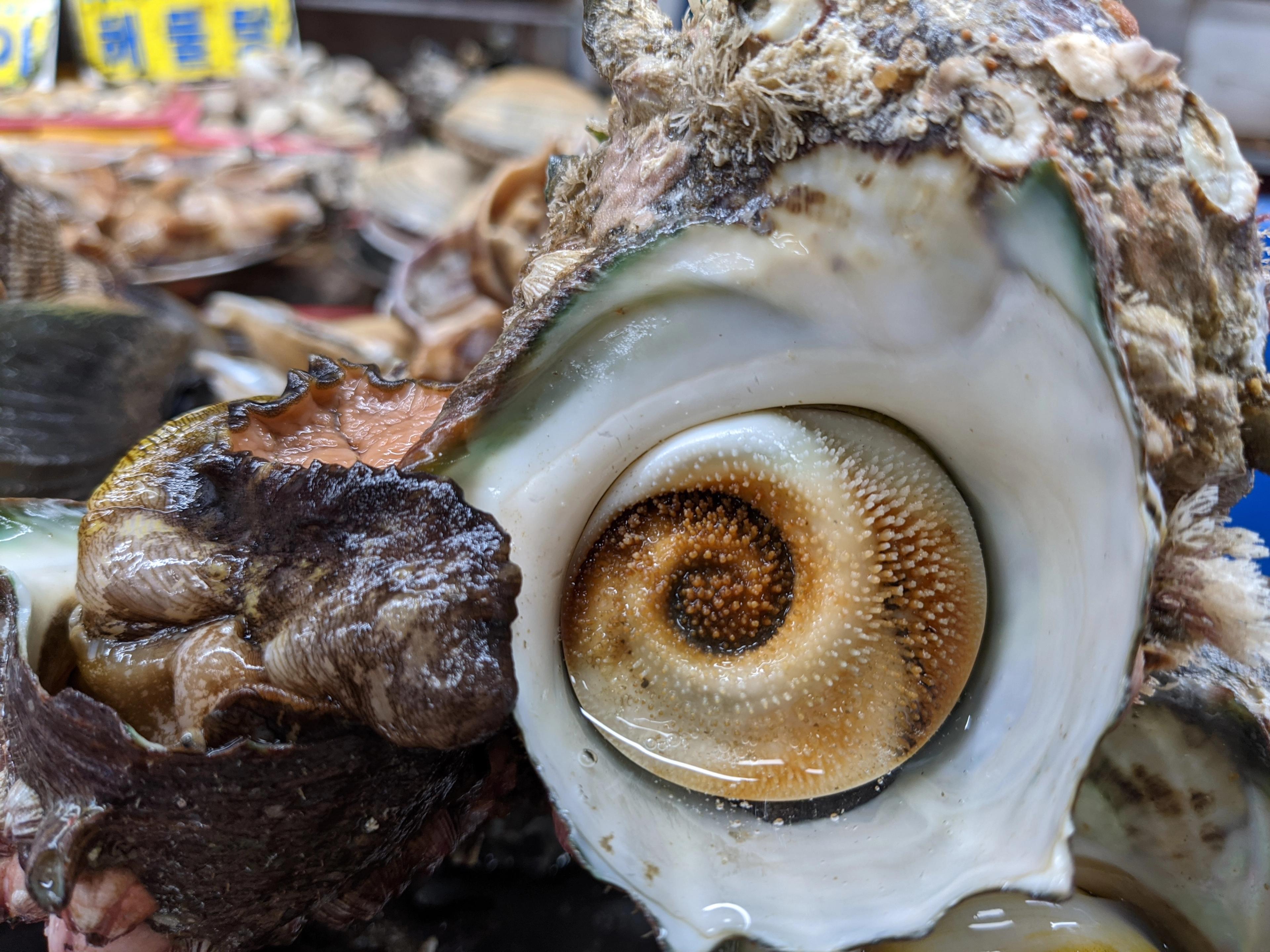 Extremely fresh seafood./Andrew Evans