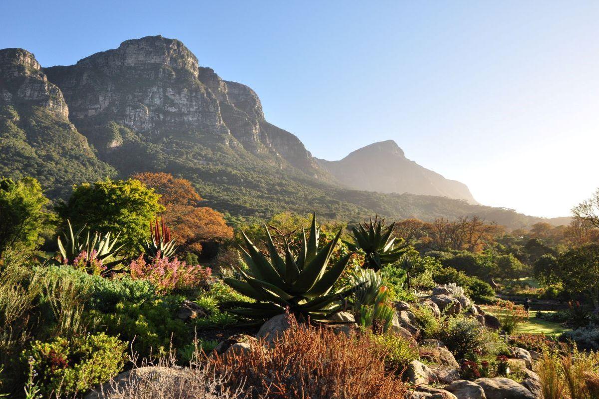 Kirstenbosch National Botanical Garden