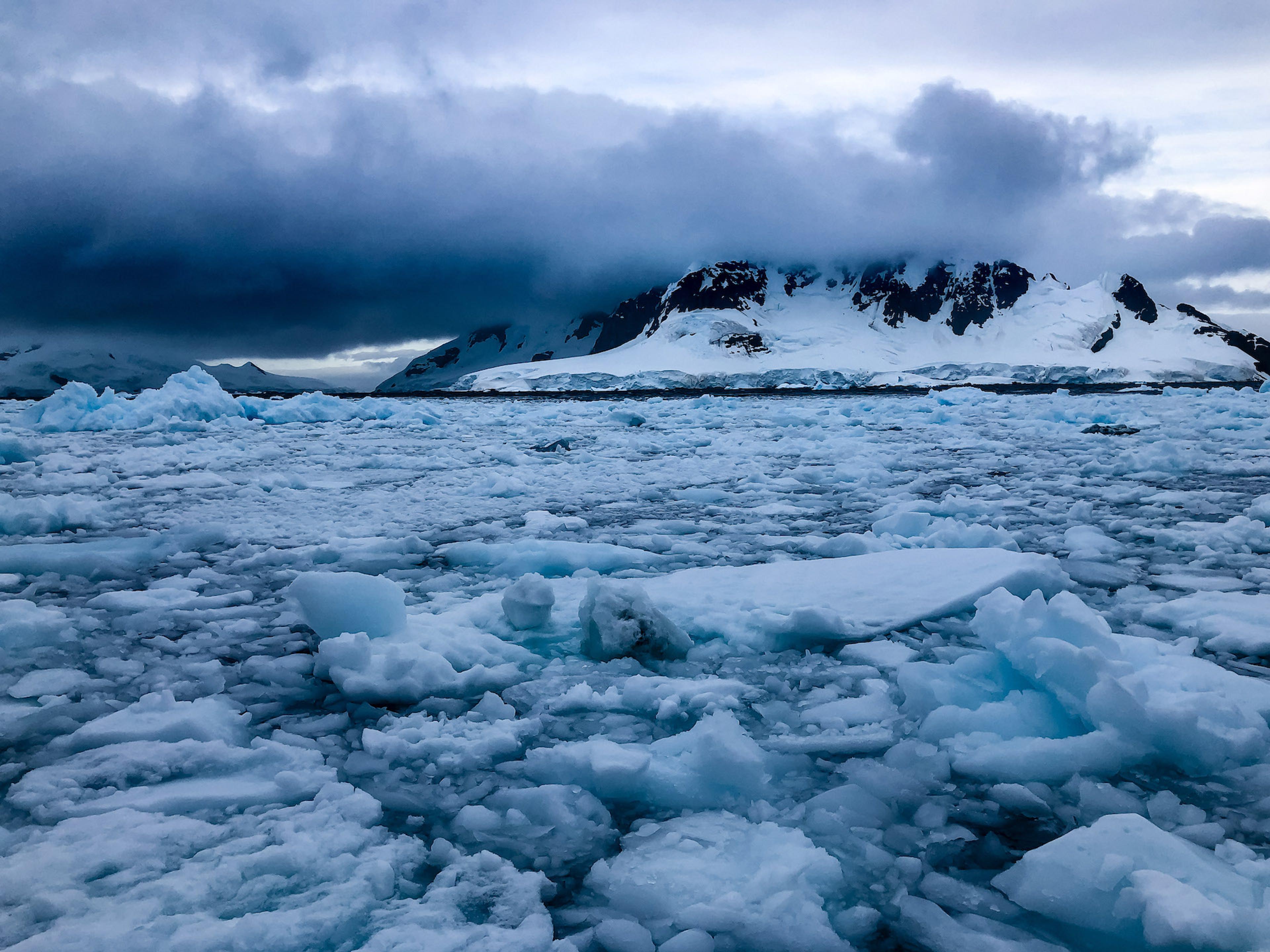 Brash Ice in Paradise Harbor, Antarctica. Brash ice originates from glaciers calving and subsequently breaking apart once they are afloat./David Jaffe