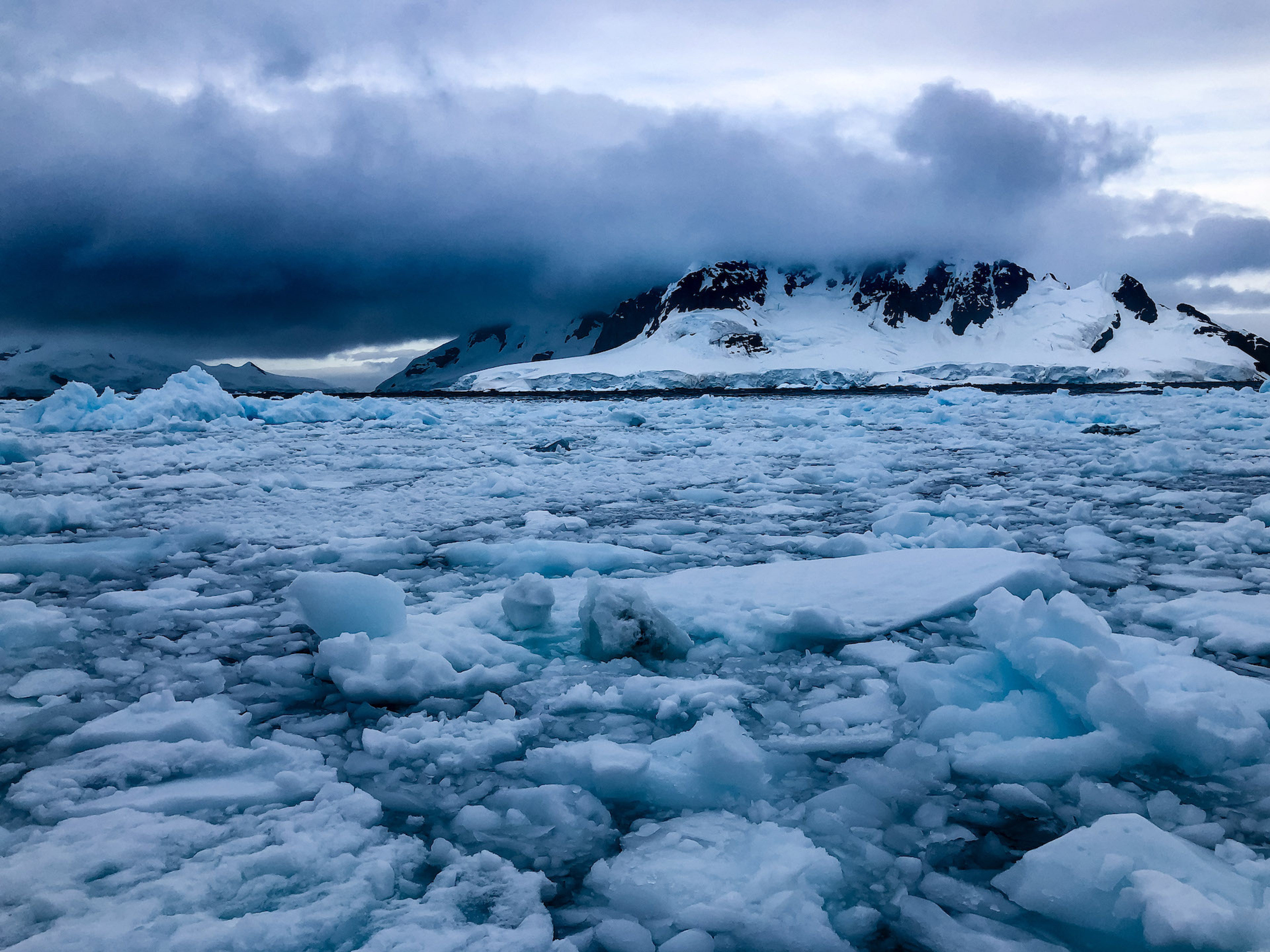 Brash Ice in Paradise Harbor, Antarctica. Brash ice originates from glaciers calving and subsequently breaking apart once they are afloat./David Jaffe
