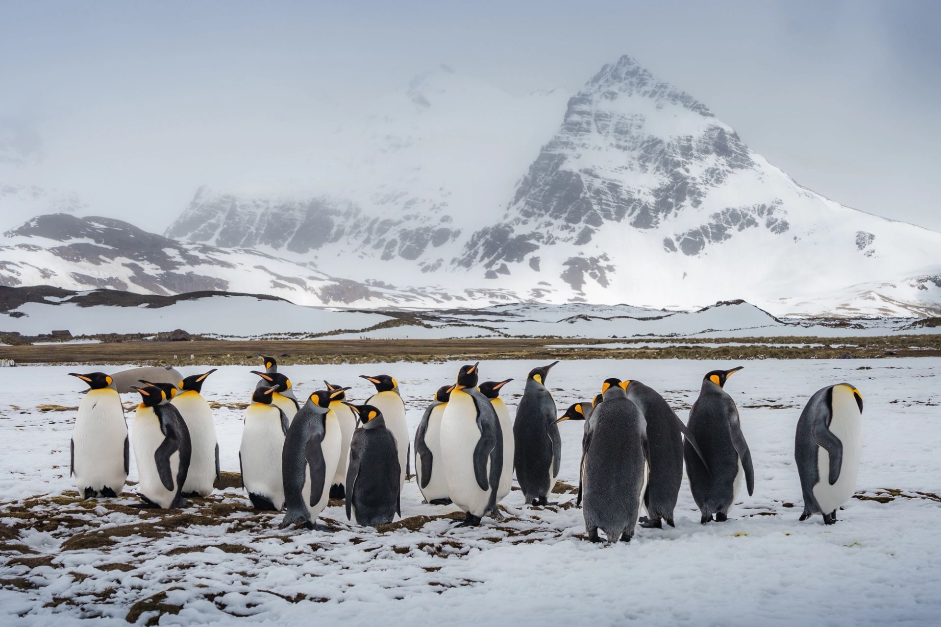 King George Island to Puerto Williams