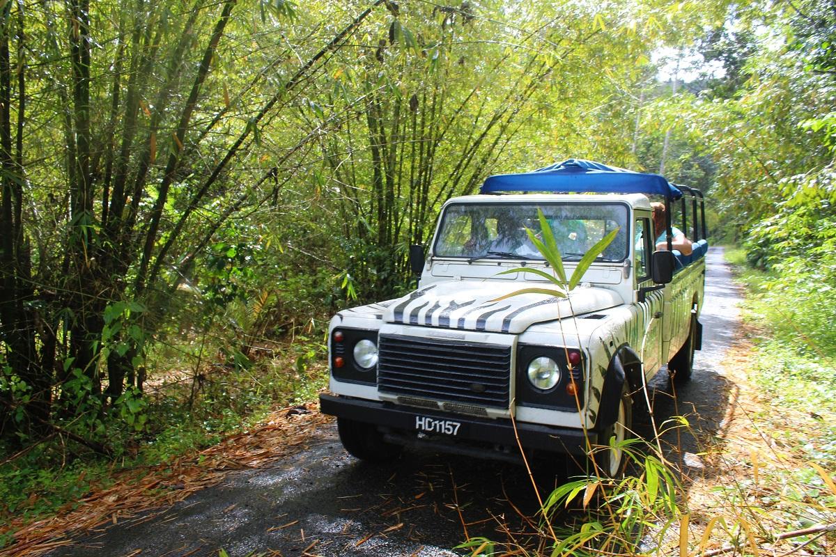 Safari Jeep, Biking and Waterfall Adventure