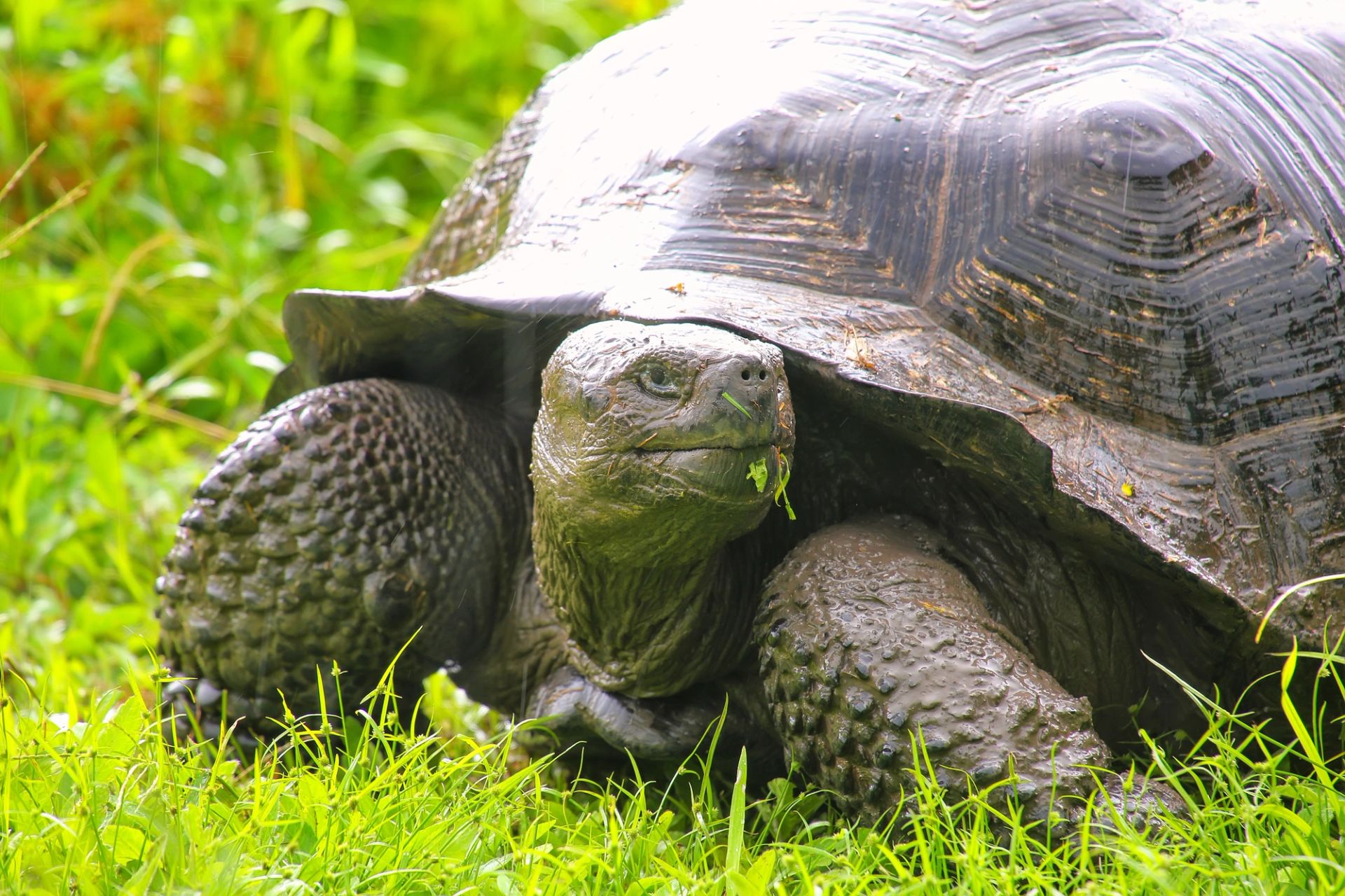 San Cristóbal, Galápagos a San Cristóbal, Galápagos