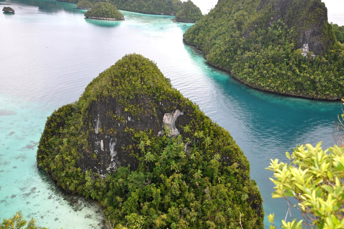 Auri Islands (Cenderawasih Bay)