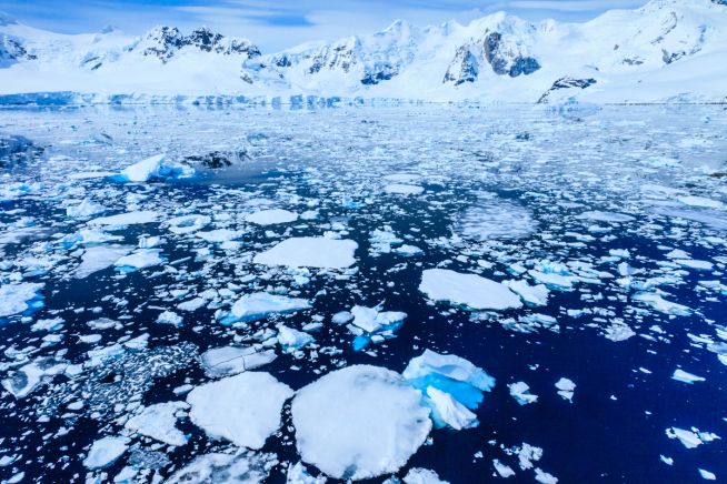 King George Island to Puerto Williams