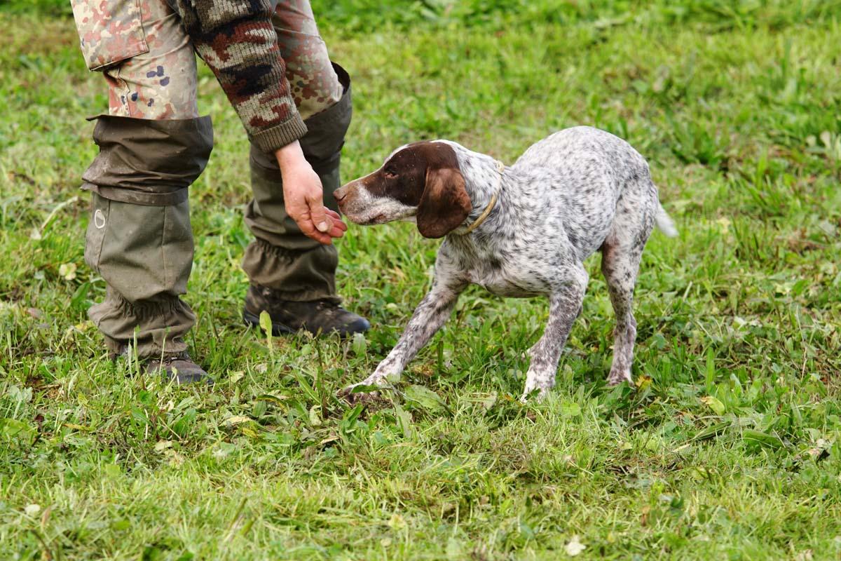 Truffle Hunting in Tuscany