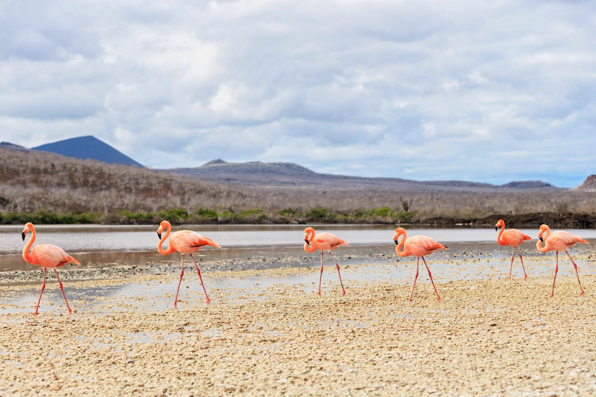 San Cristóbal, Galápagos a San Cristóbal, Galápagos