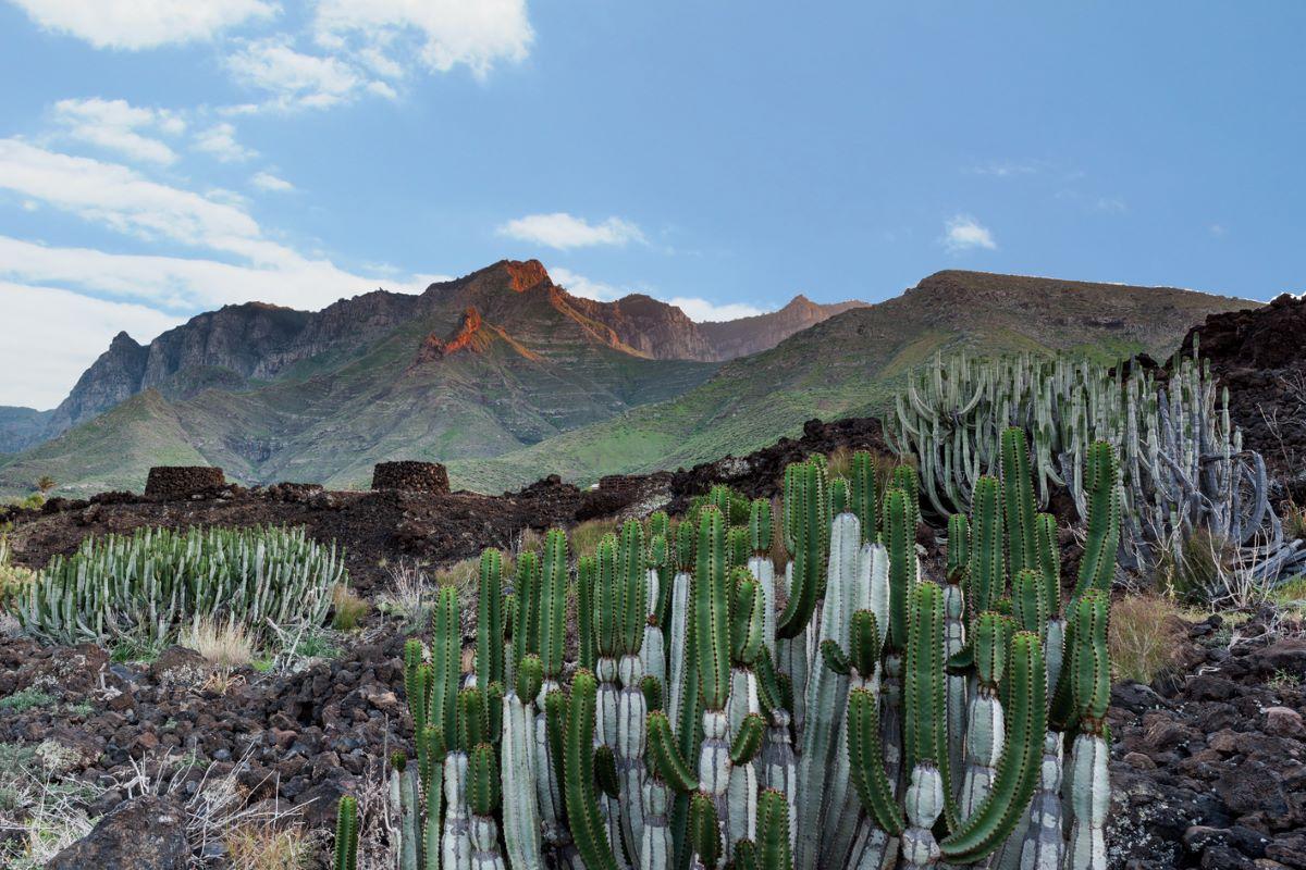 Agaete: the Archaeological & Fertile Valley