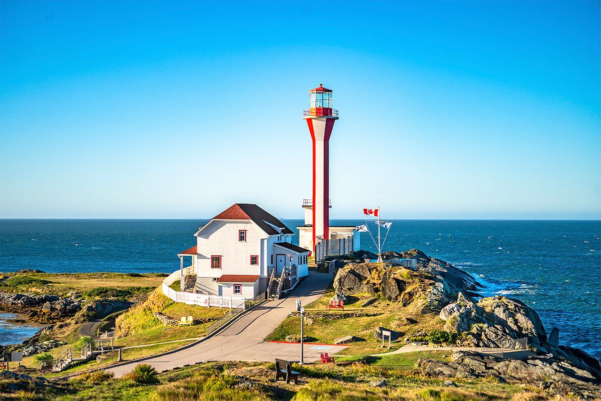 Discover the Cape