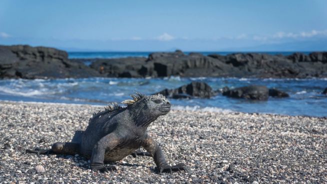 San Cristóbal, Galapagos nach San Cristóbal, Galapagos