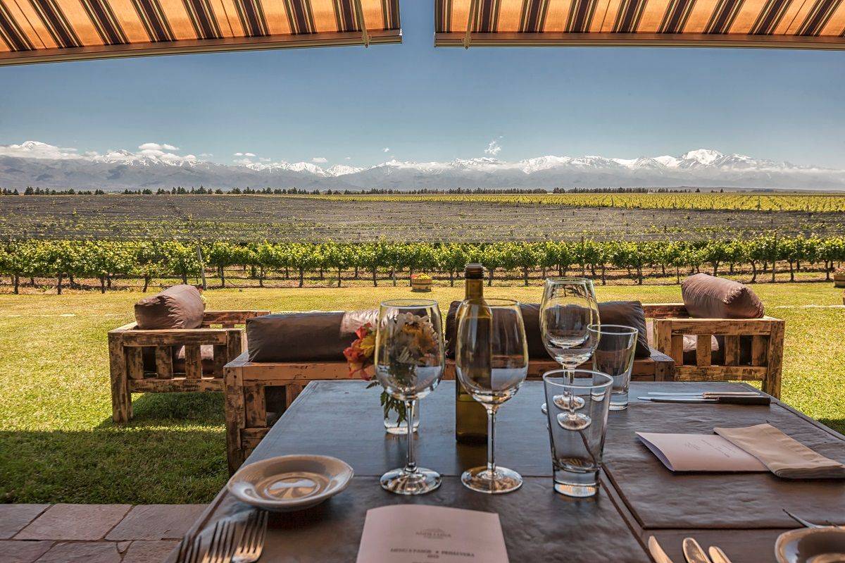 Vins de Mendoza