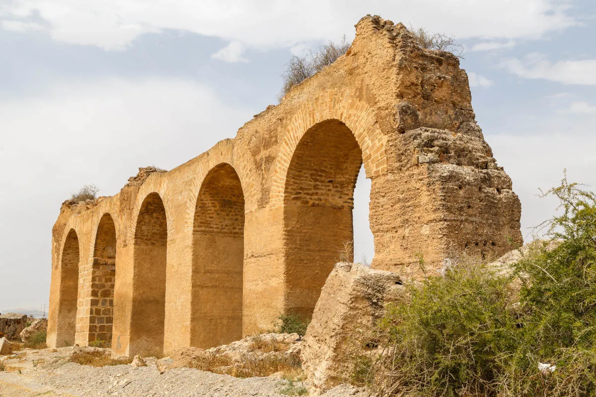 Thuborbo Majus & Dar Zaghouan Farm