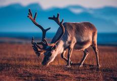 Svalbard Northern Region, Norway