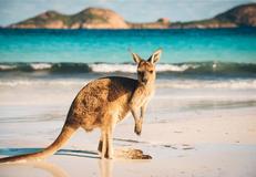 Esperance