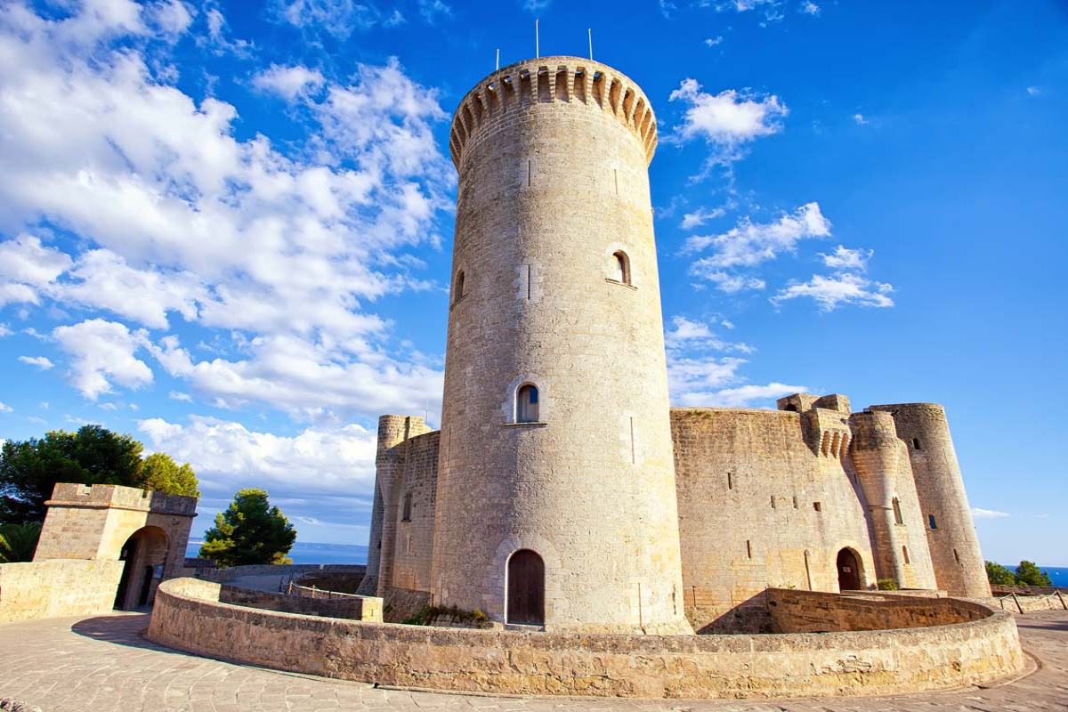The Best of Palma