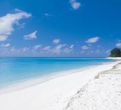Alphonse Island