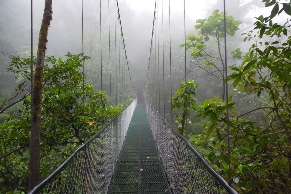 A Walk in the Clouds