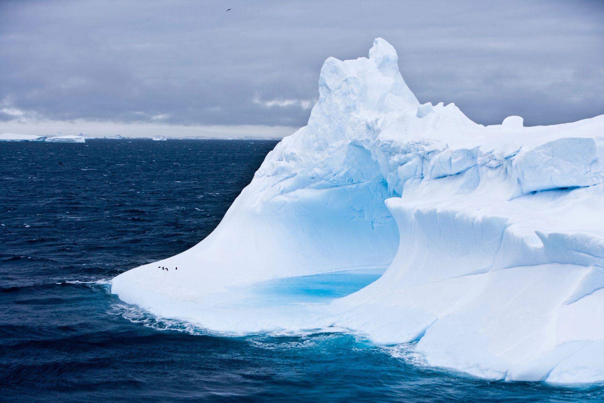 King George Island to King George Island