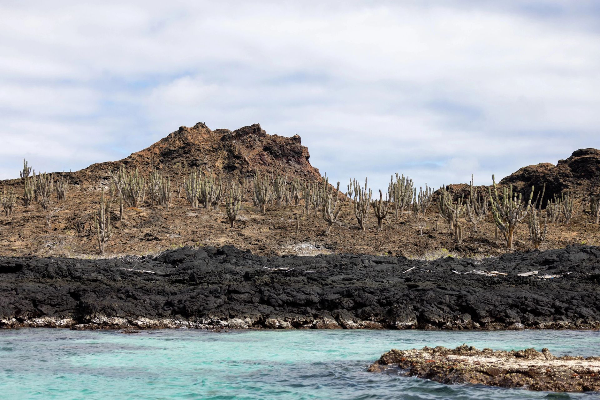 San Cristóbal, Galápagos à San Cristóbal, Galápagos