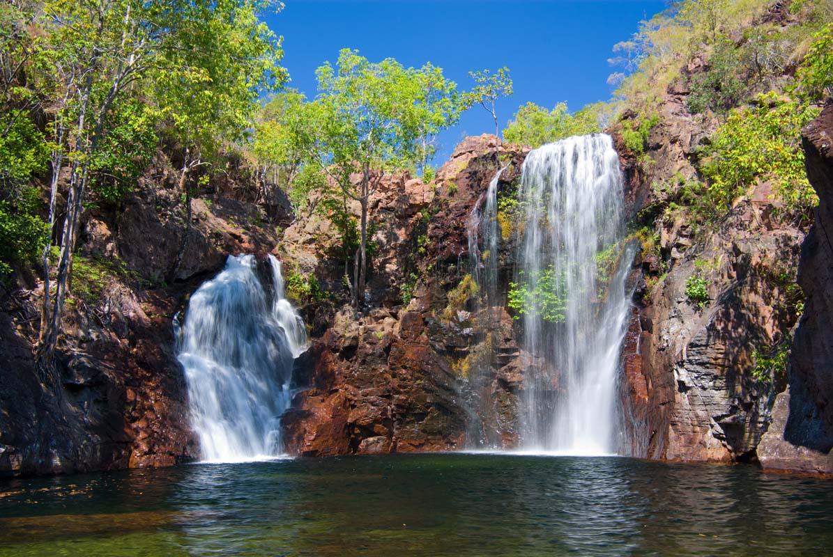 Indigenous Litchfield