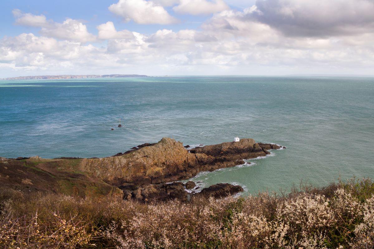 The Guernsey Literary and Potato Peel Pie Society