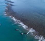 Montgomery Reef