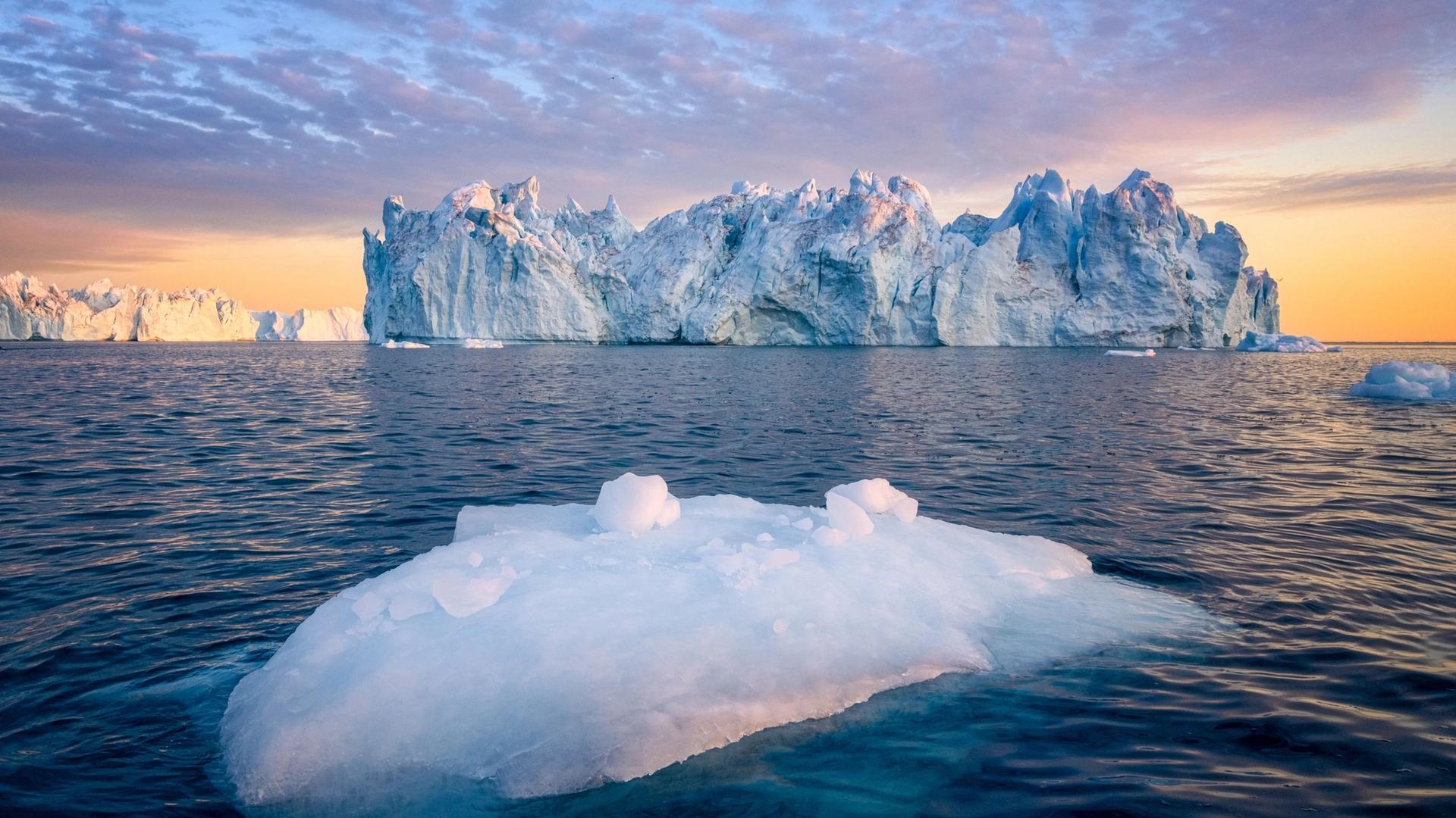 LP Summer Arctic & Greenland 2025