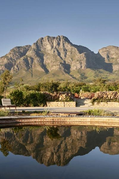 SOUTH AFRICAN WINELANDS