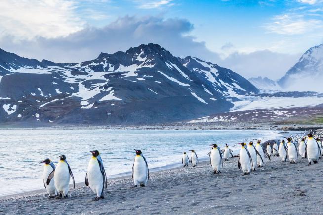 Antarctica
