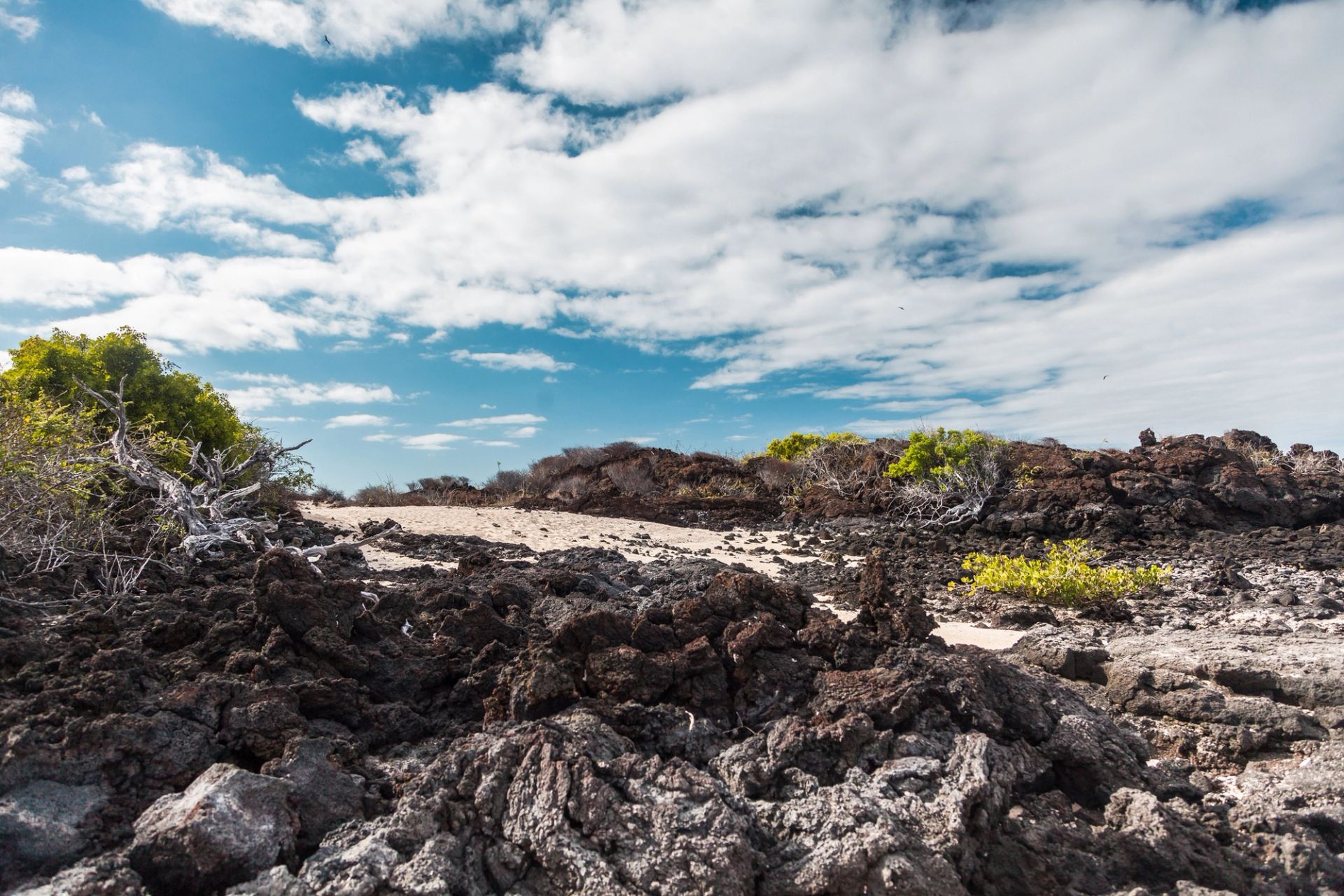 San Cristóbal, Galápagos à San Cristóbal, Galápagos