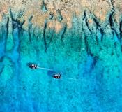 Henderson Island, Pitcairn Islands