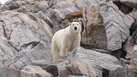 Iqaluit (Nunavut) to Nuuk (Godthab)