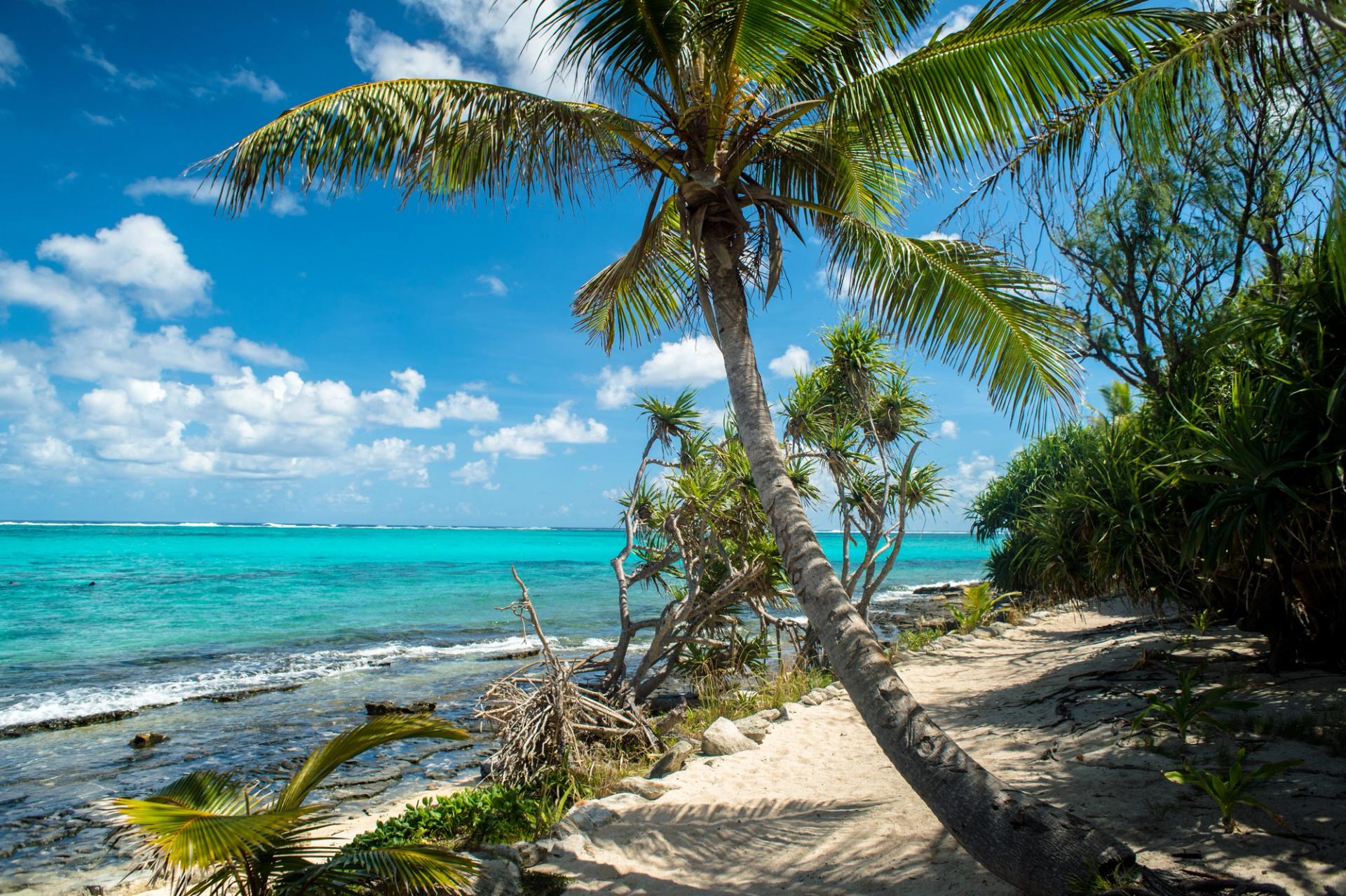 THE MAGIC OF MYSTERY ISLAND