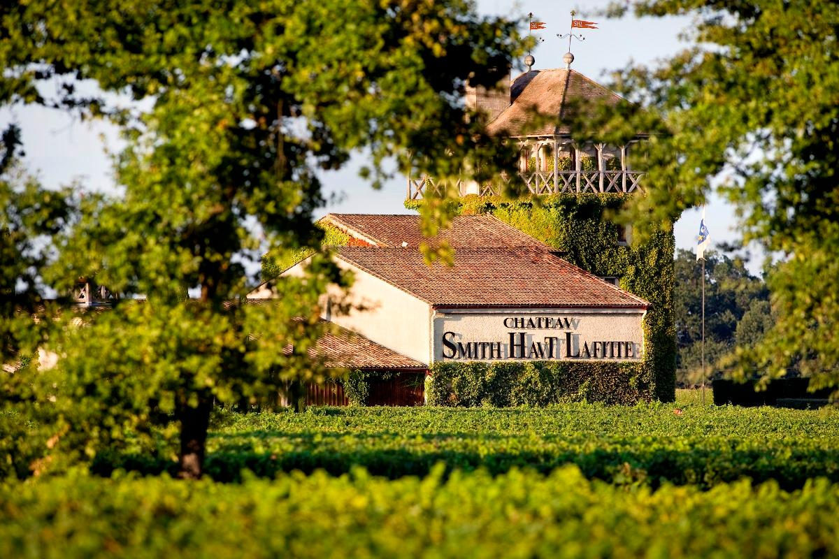 Château Smith Haut Lafitte Private Visit