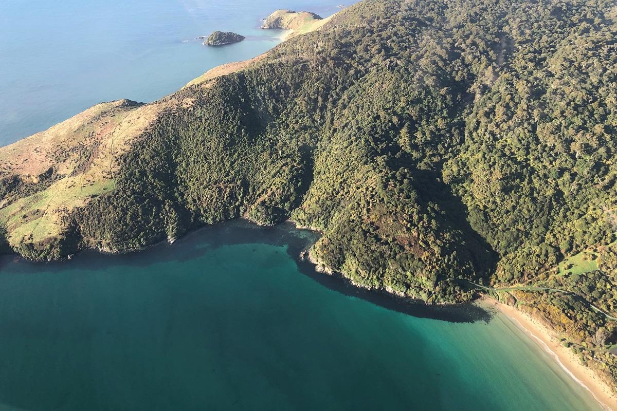 A Taste of Stewart Island