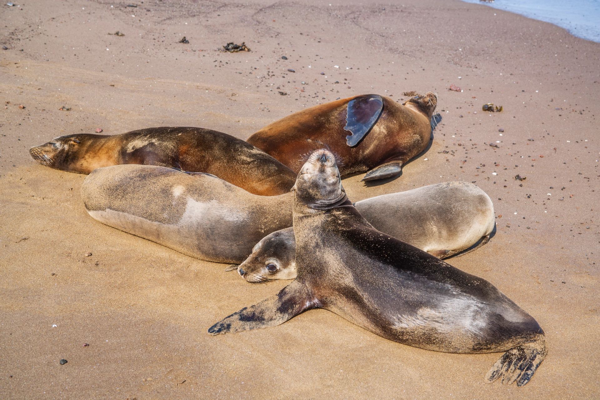 San Cristóbal, Galápagos à San Cristóbal, Galápagos