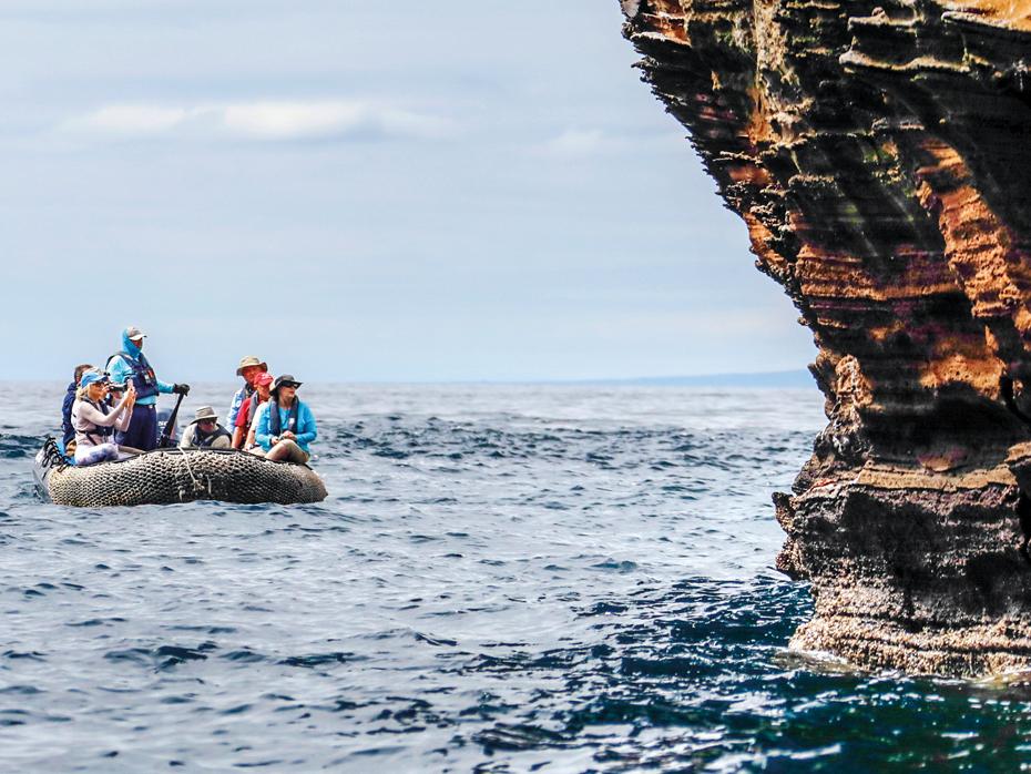 Expedition Experience