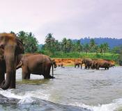 Hambantota