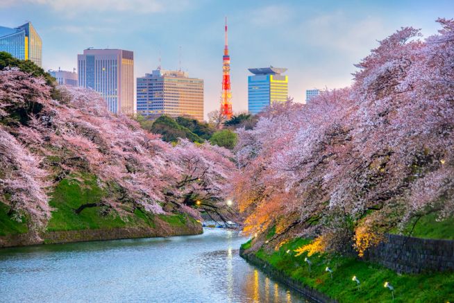 Yokohama (Tokyo) a Tokyo
