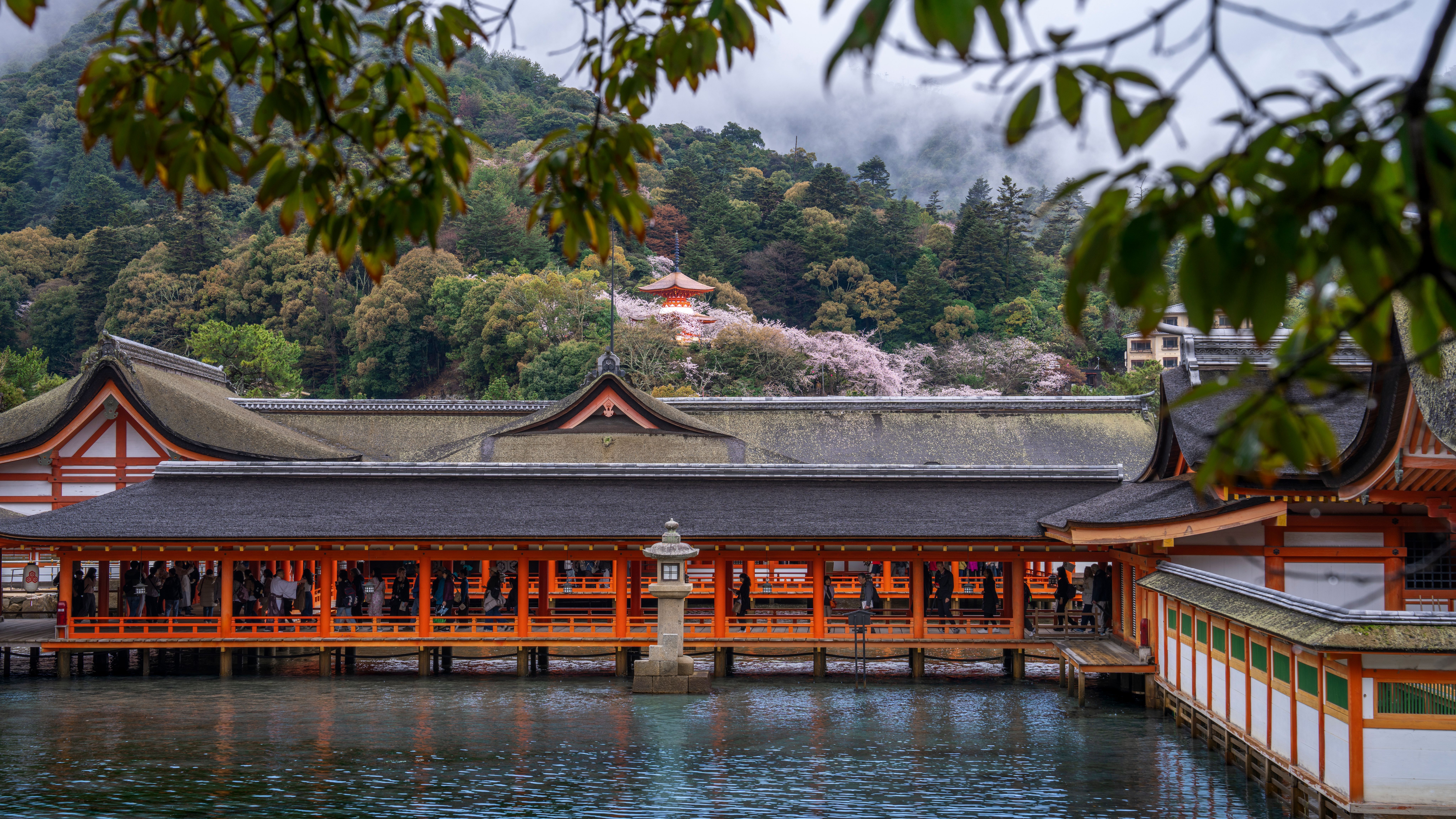 Japan Luxury Cruises | Silversea