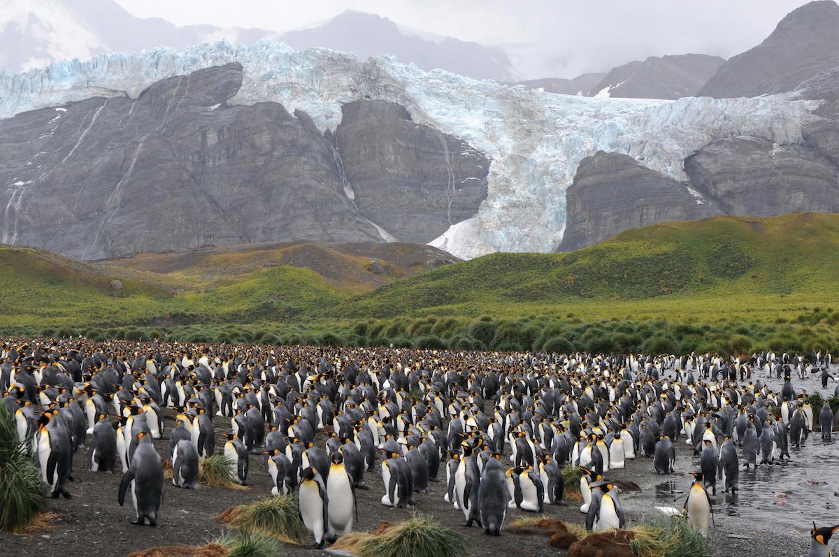 Expedition activities with Silversea Expedition team