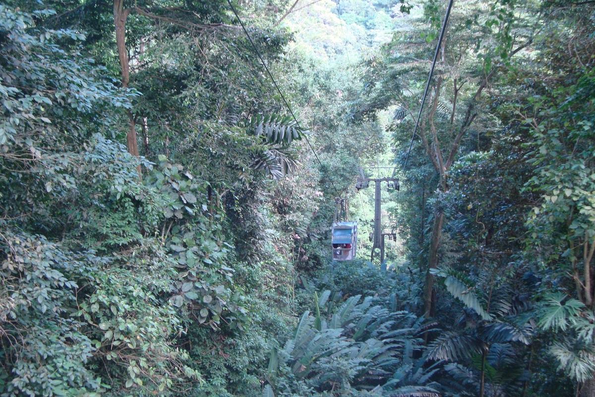 Veragua Rainforest & Aerial Tram