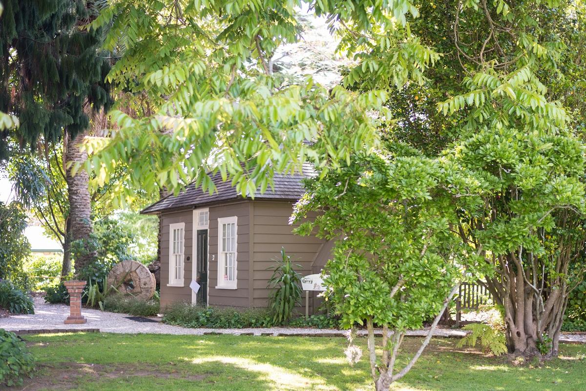 Discover Tauranga