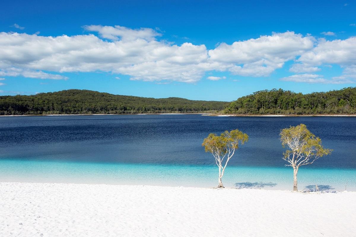 Fraser Island Exploration with a Ranger