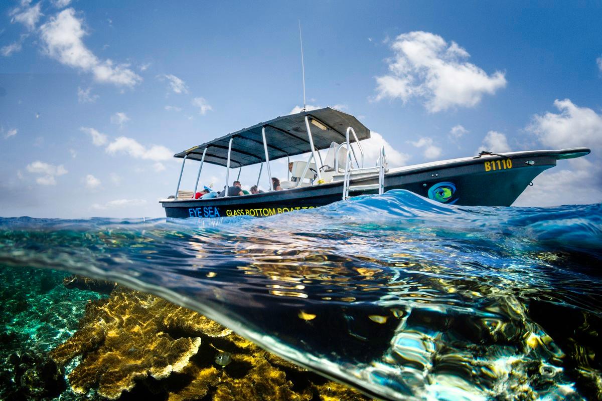 Bonaire National Marine Park Glass Bottom Boat Tour