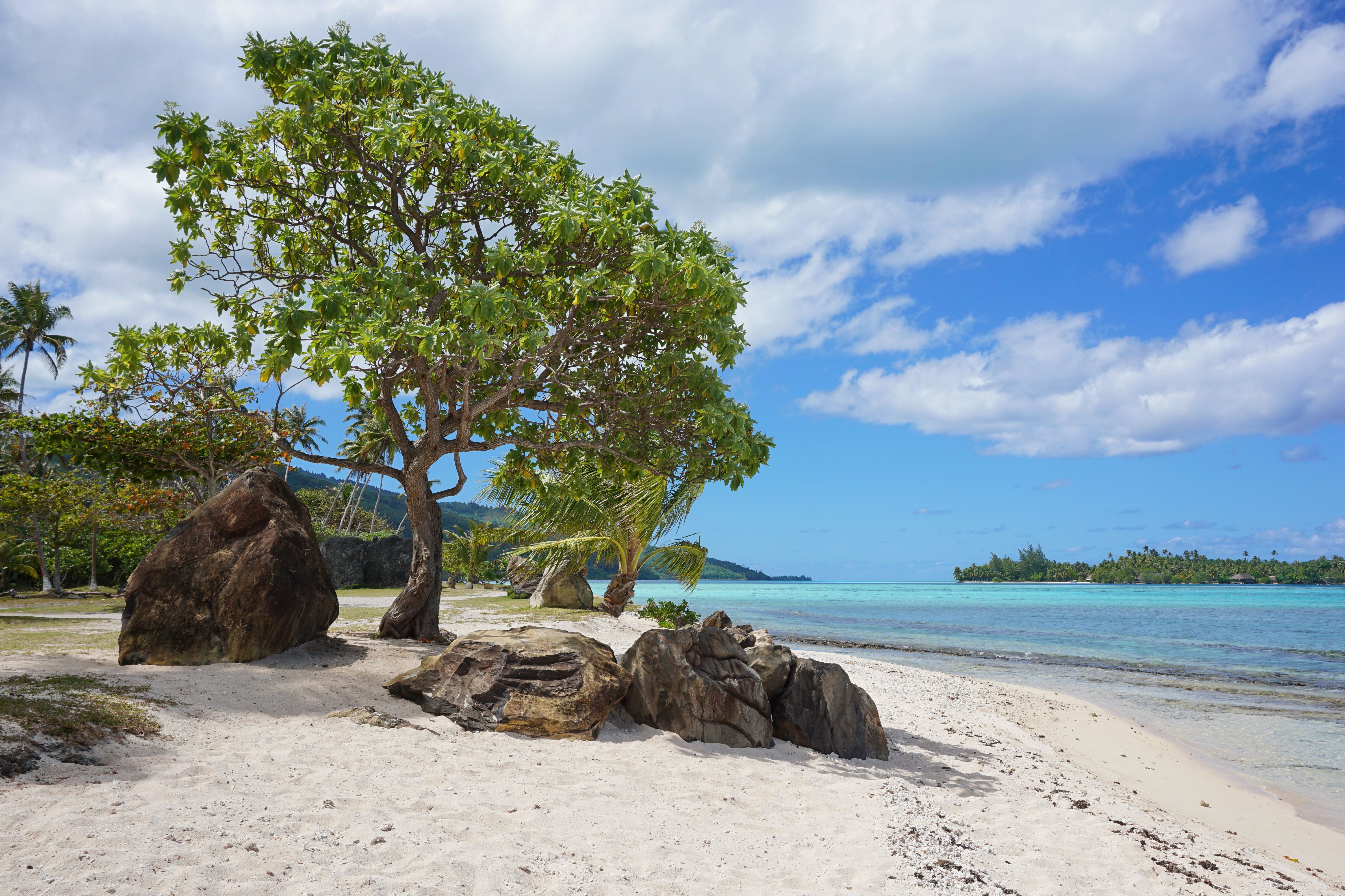 Cruise from Papeete (Tahiti) to Papeete (Tahiti
