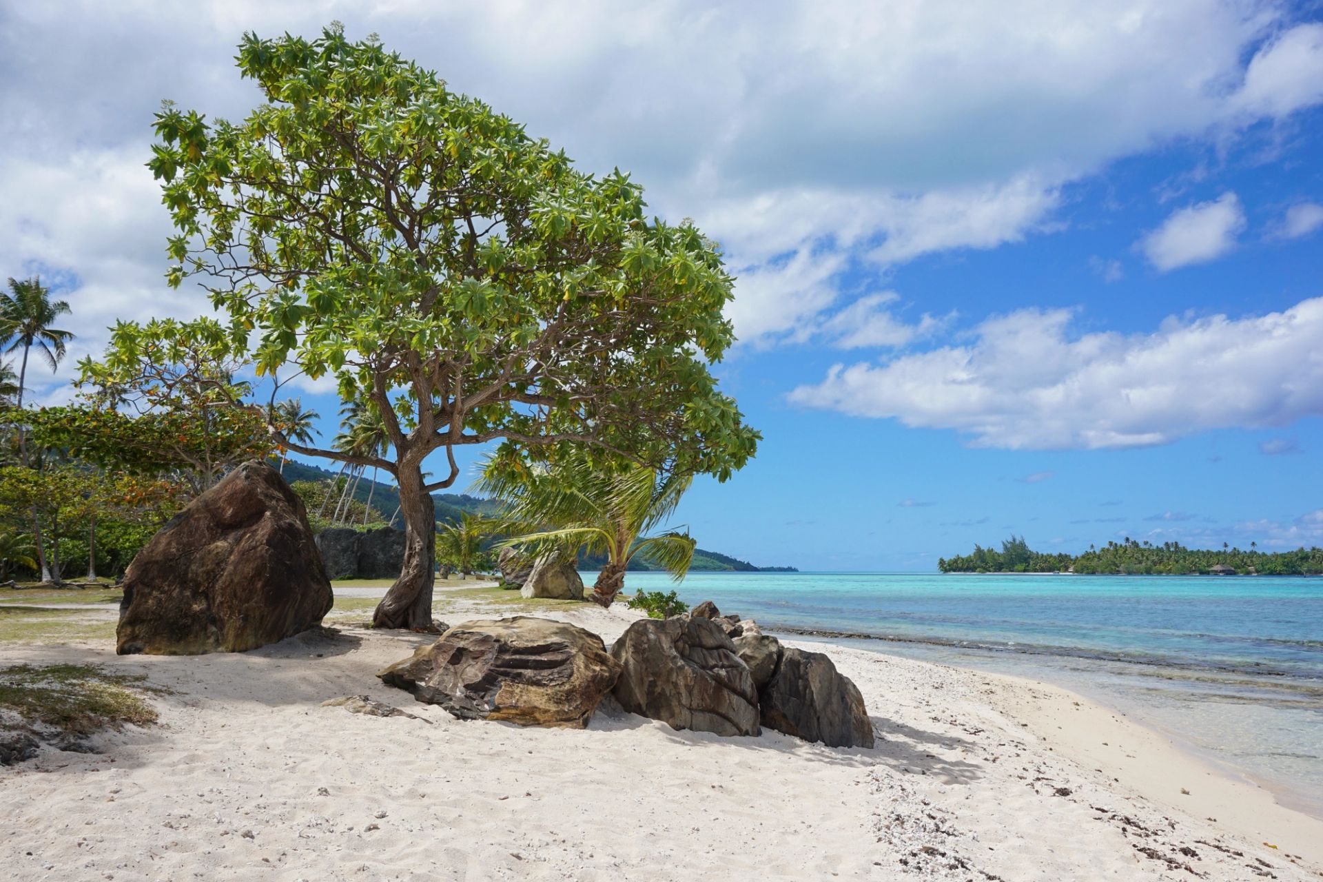 Papeete (Tahiti) to Papeete (Tahiti)